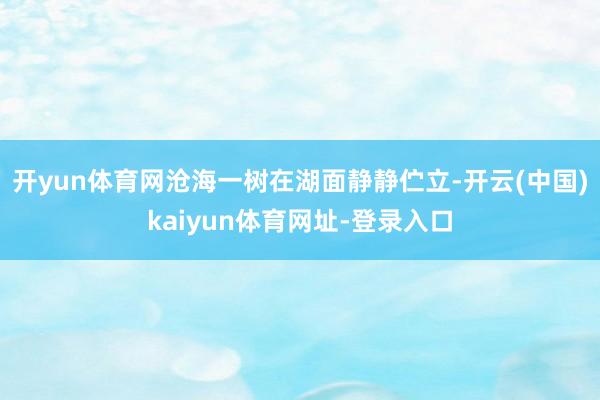 开yun体育网沧海一树在湖面静静伫立-开云(中国)kaiyun体育网址-登录入口