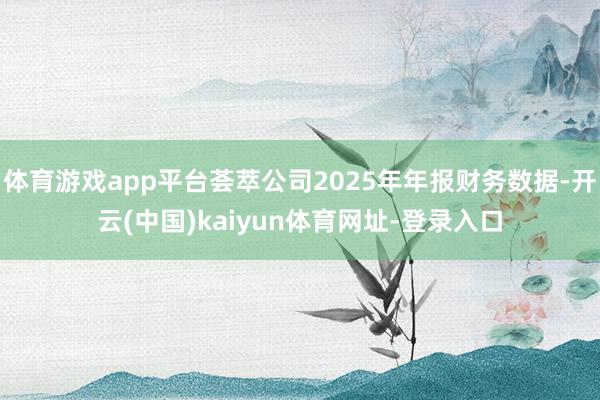 体育游戏app平台荟萃公司2025年年报财务数据-开云(中国)kaiyun体育网址-登录入口