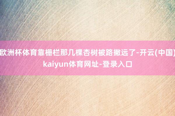 欧洲杯体育靠栅栏那几棵杏树被路撇远了-开云(中国)kaiyun体育网址-登录入口